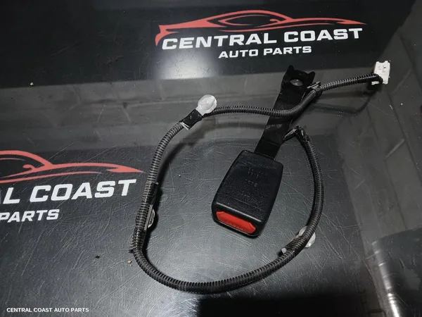Seatbelt/Stalk