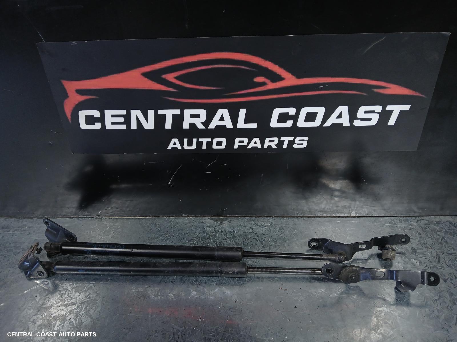 Hatch Strut