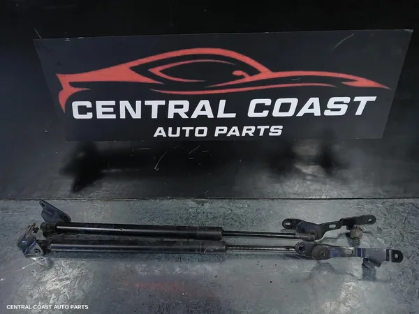 Hatch Strut