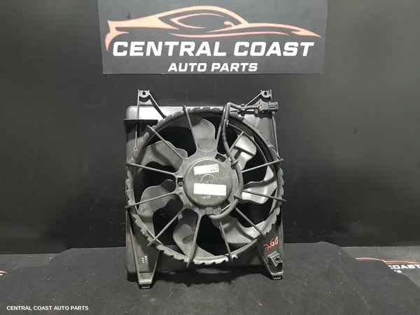Fan