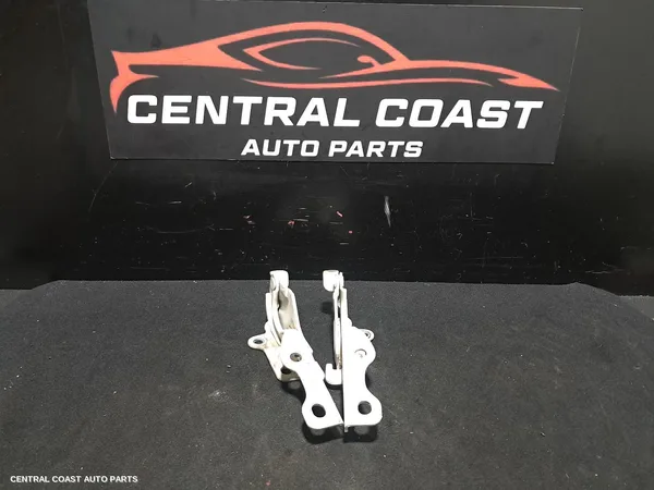 Bonnet Hinge/Strut