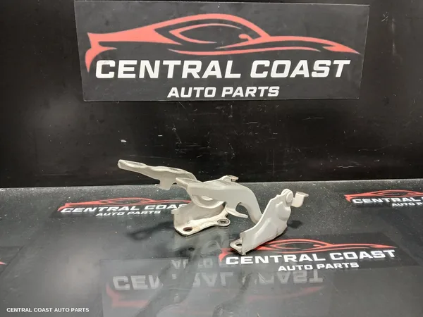 Bonnet Hinge/Strut