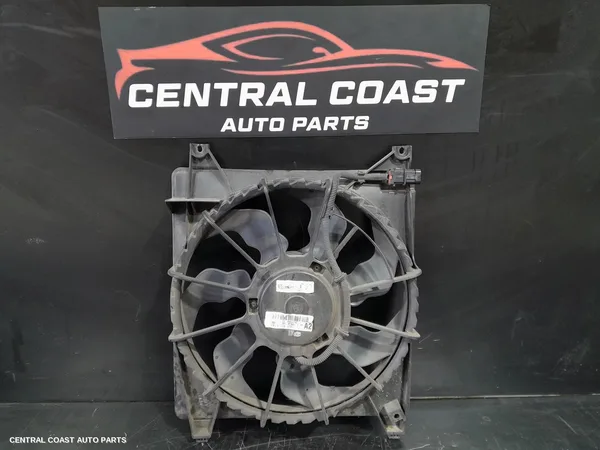 Fan
