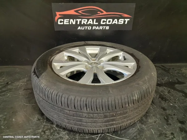 Wheel Mag