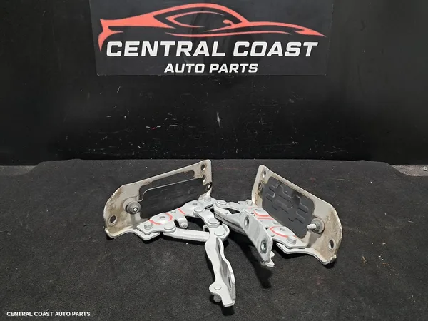 Bonnet Hinge/Strut
