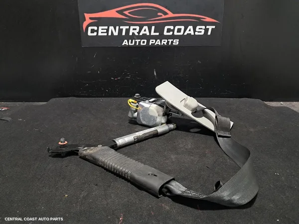 Seatbelt/Stalk