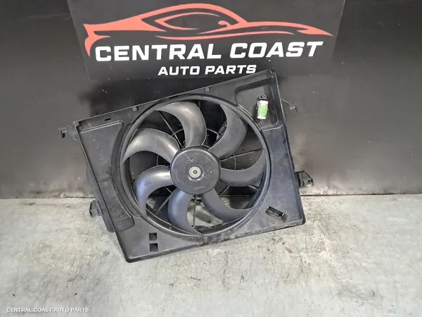 Fan