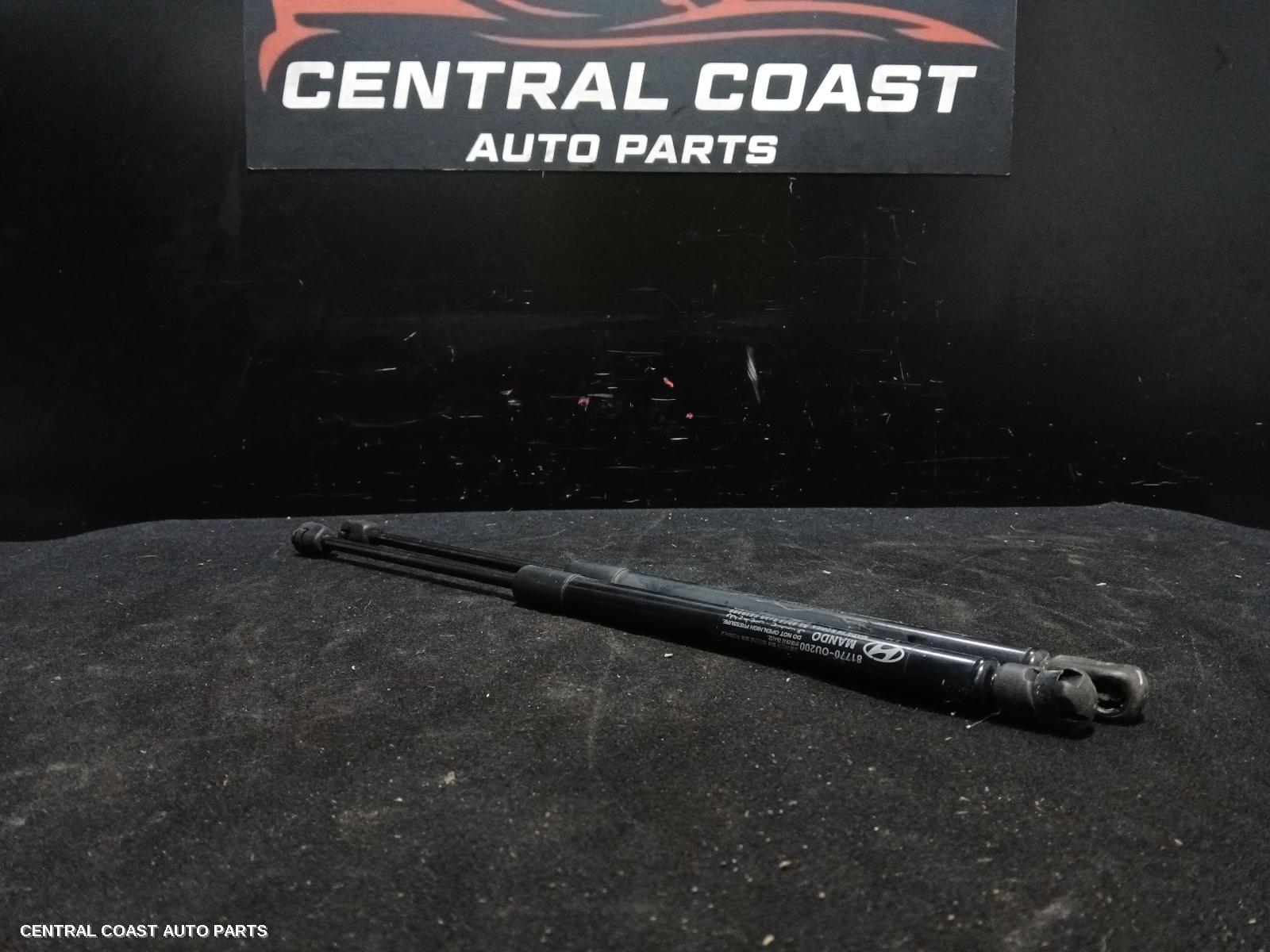 Hatch Strut