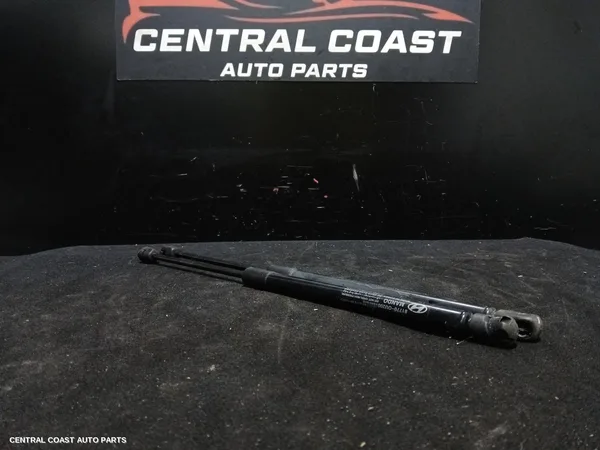 Hatch Strut
