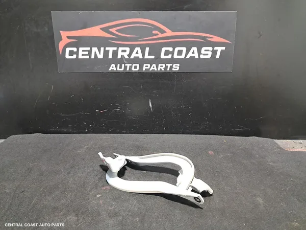 Bonnet Hinge/Strut