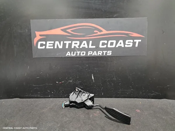 Pedal Assembly