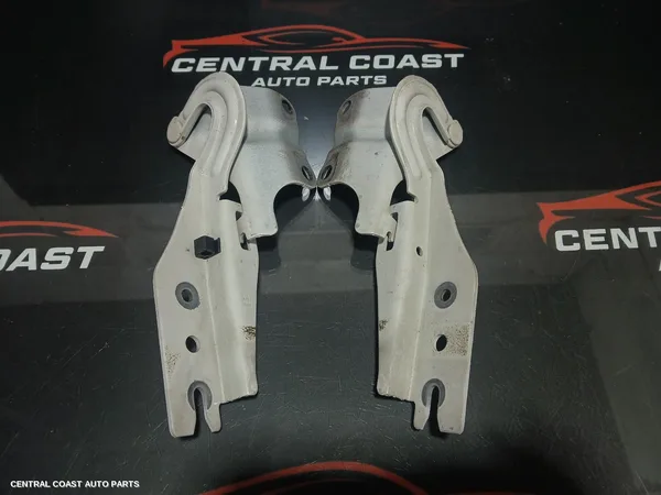 Bonnet Hinge/Strut