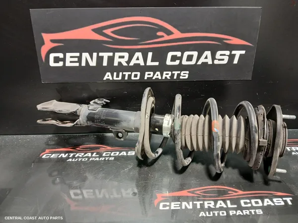 Left Front Strut