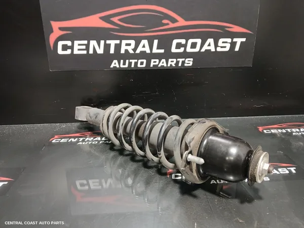 Left Rear Strut