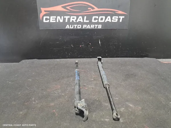 Hatch Strut