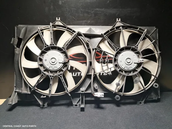 Fan