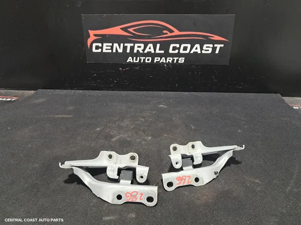 Bonnet Hinge/Strut