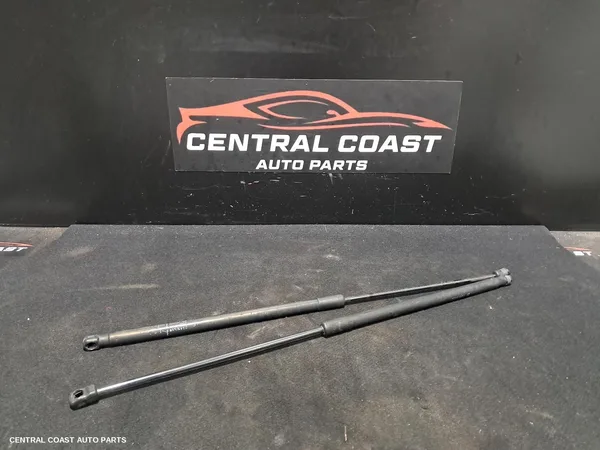 Bonnet Hinge/Strut