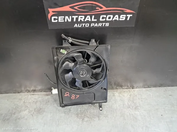 Fan