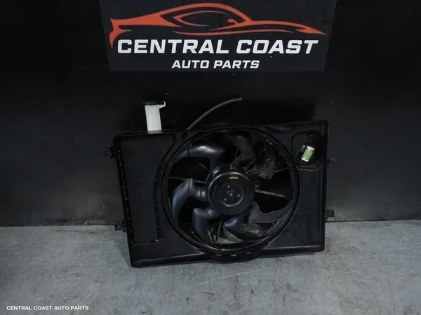 Fan
