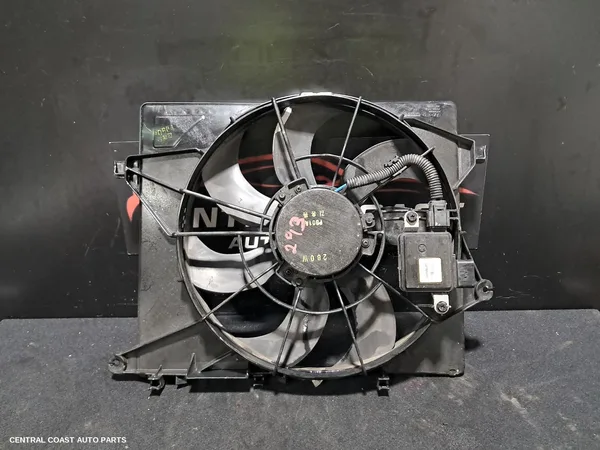 Fan