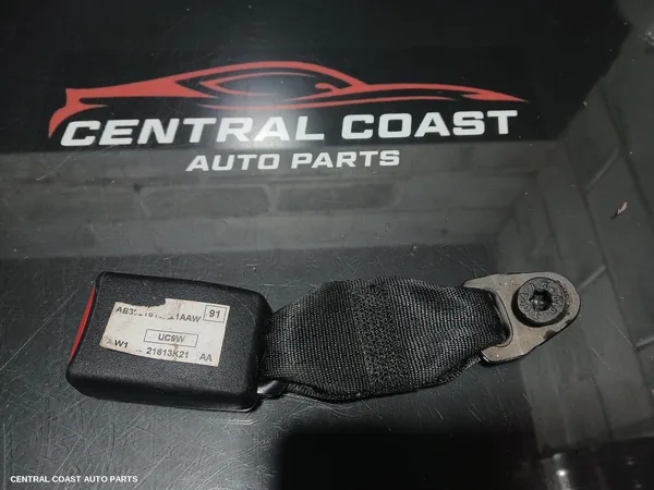 Seatbelt/Stalk