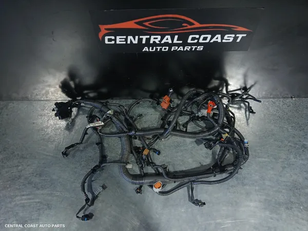 Wire Harness