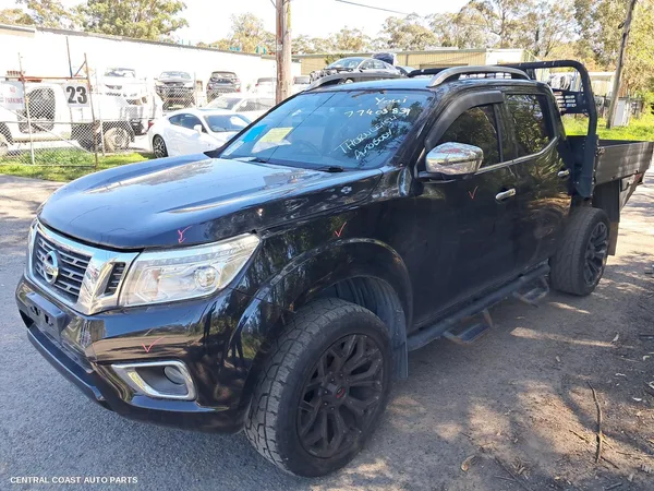 Particulate Filter/Dpf
