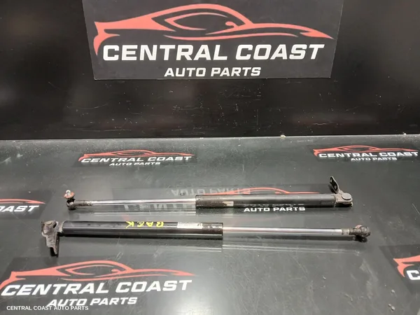Hatch Strut