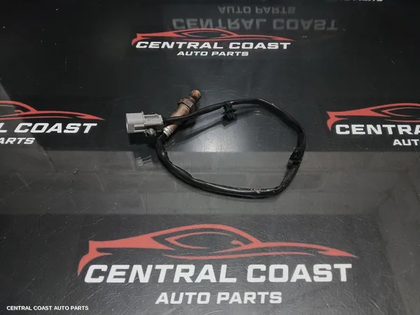 Oxygen Sensor