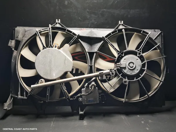 Fan