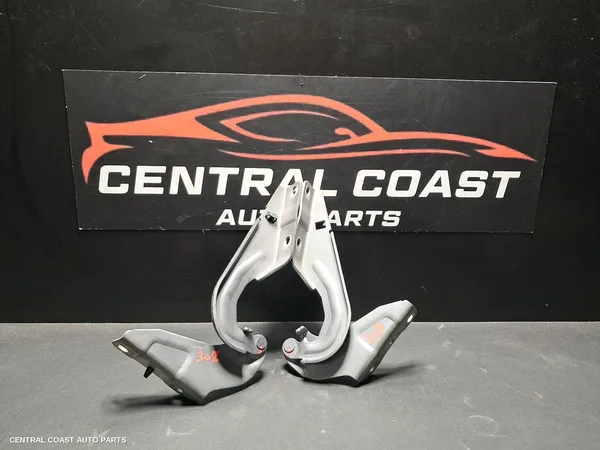Bonnet Hinge/Strut