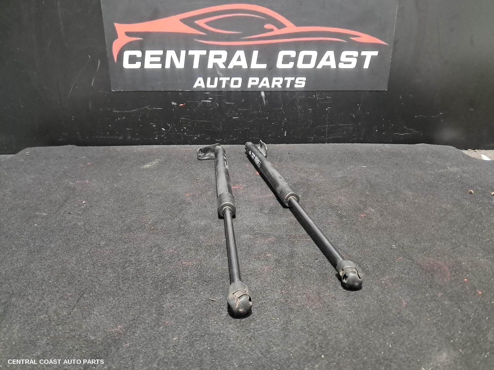 Hatch Strut