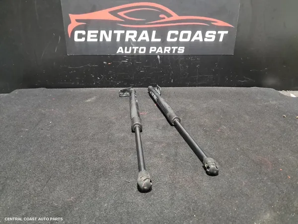 Hatch Strut
