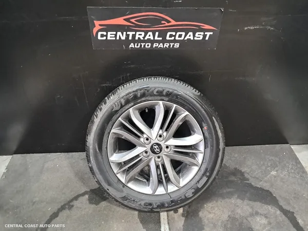 Wheel Mag