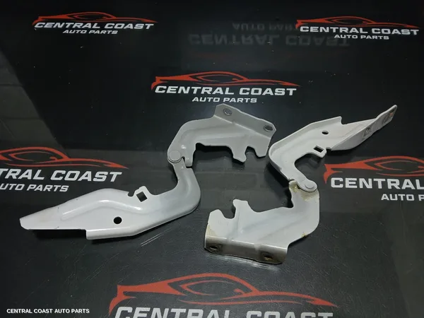 Bonnet Hinge/Strut