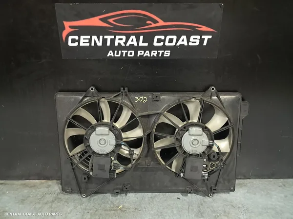 Fan