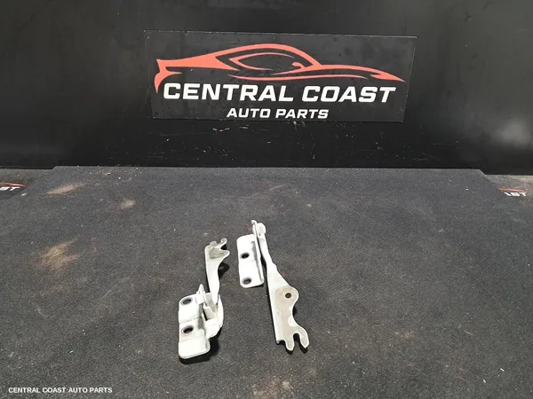Bonnet Hinge/Strut