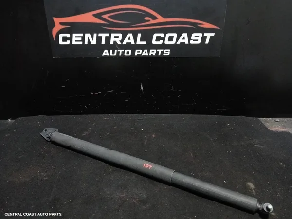 Hatch Strut
