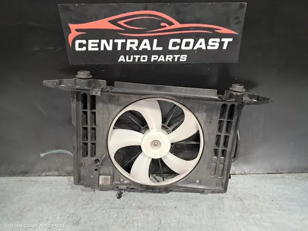 Fan