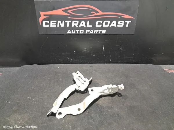 Bonnet Hinge/Strut