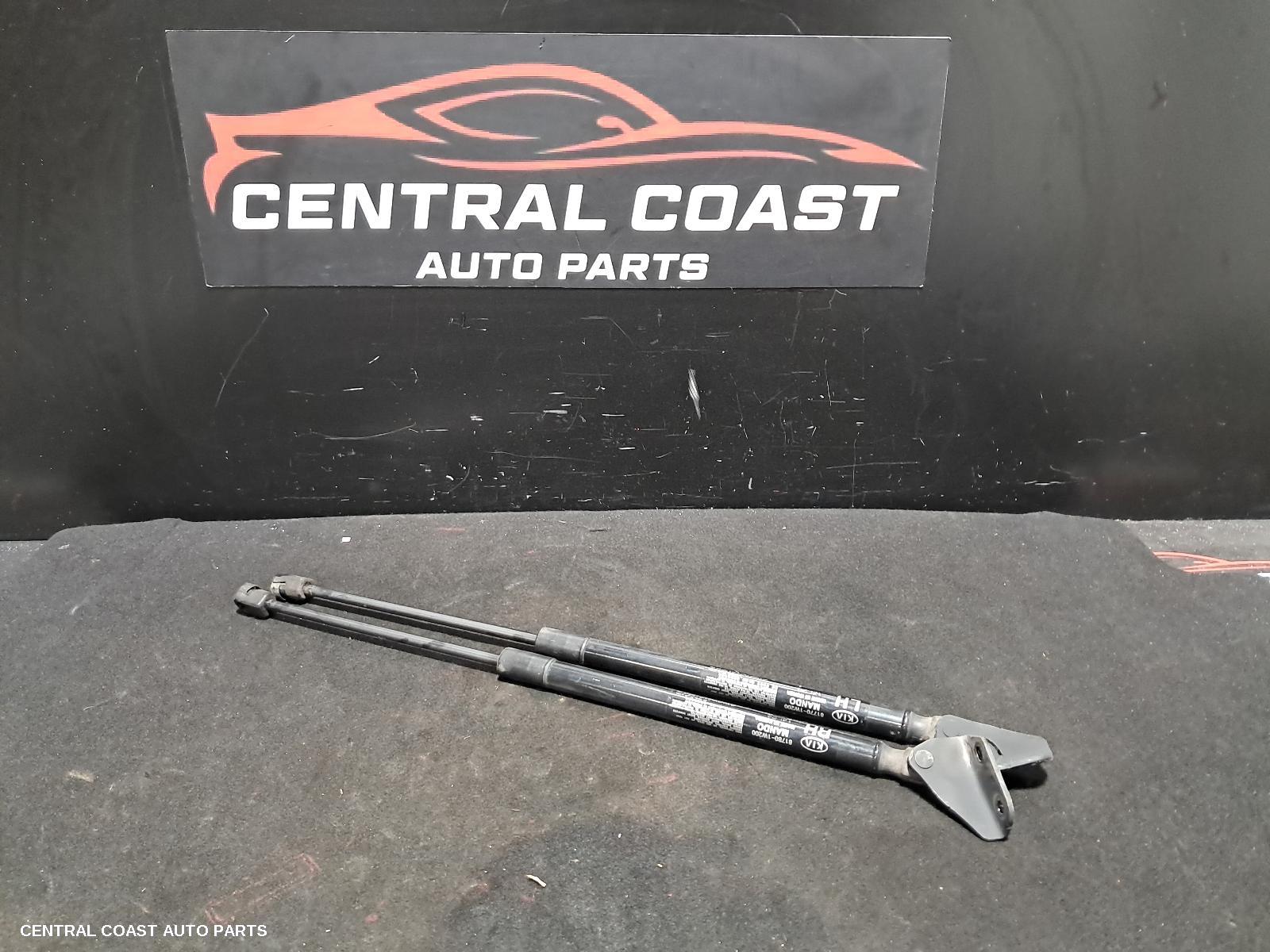 Hatch Strut