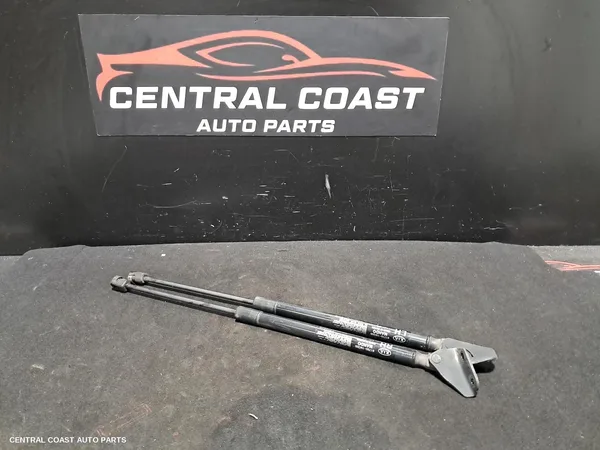 Hatch Strut