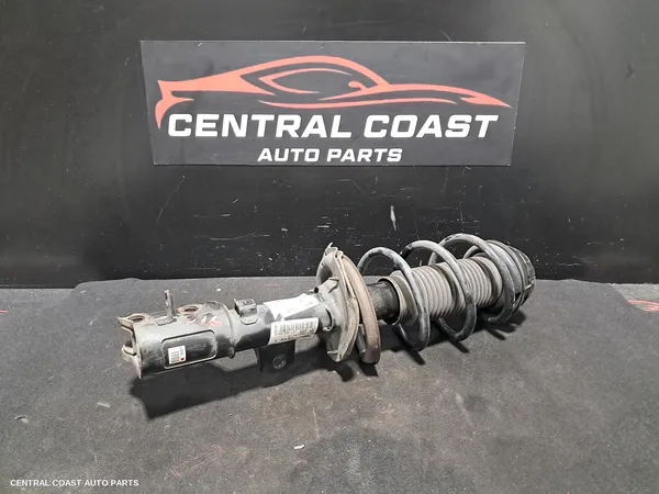 Left Front Strut