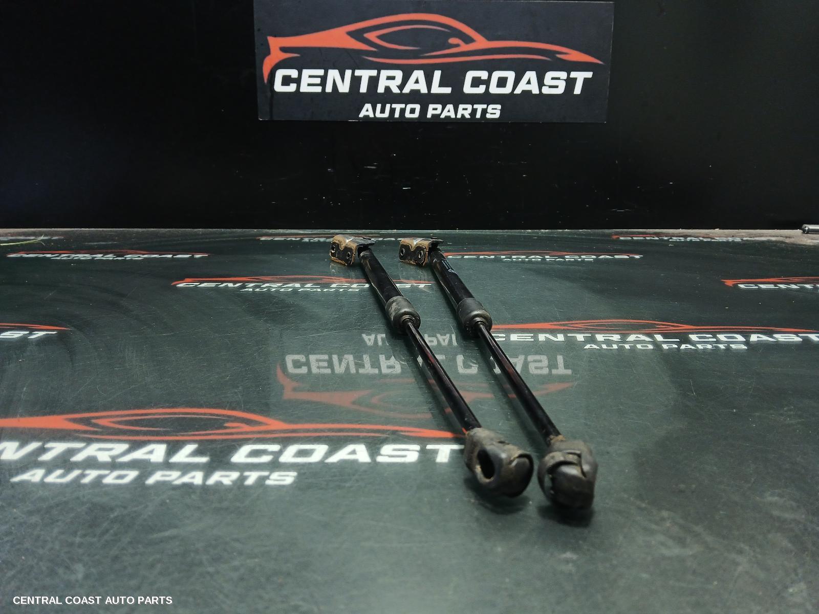 Hatch Strut