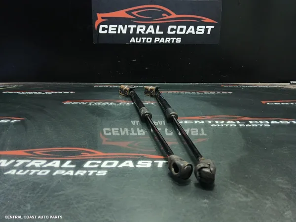 Hatch Strut