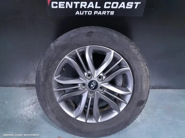 Wheel Mag