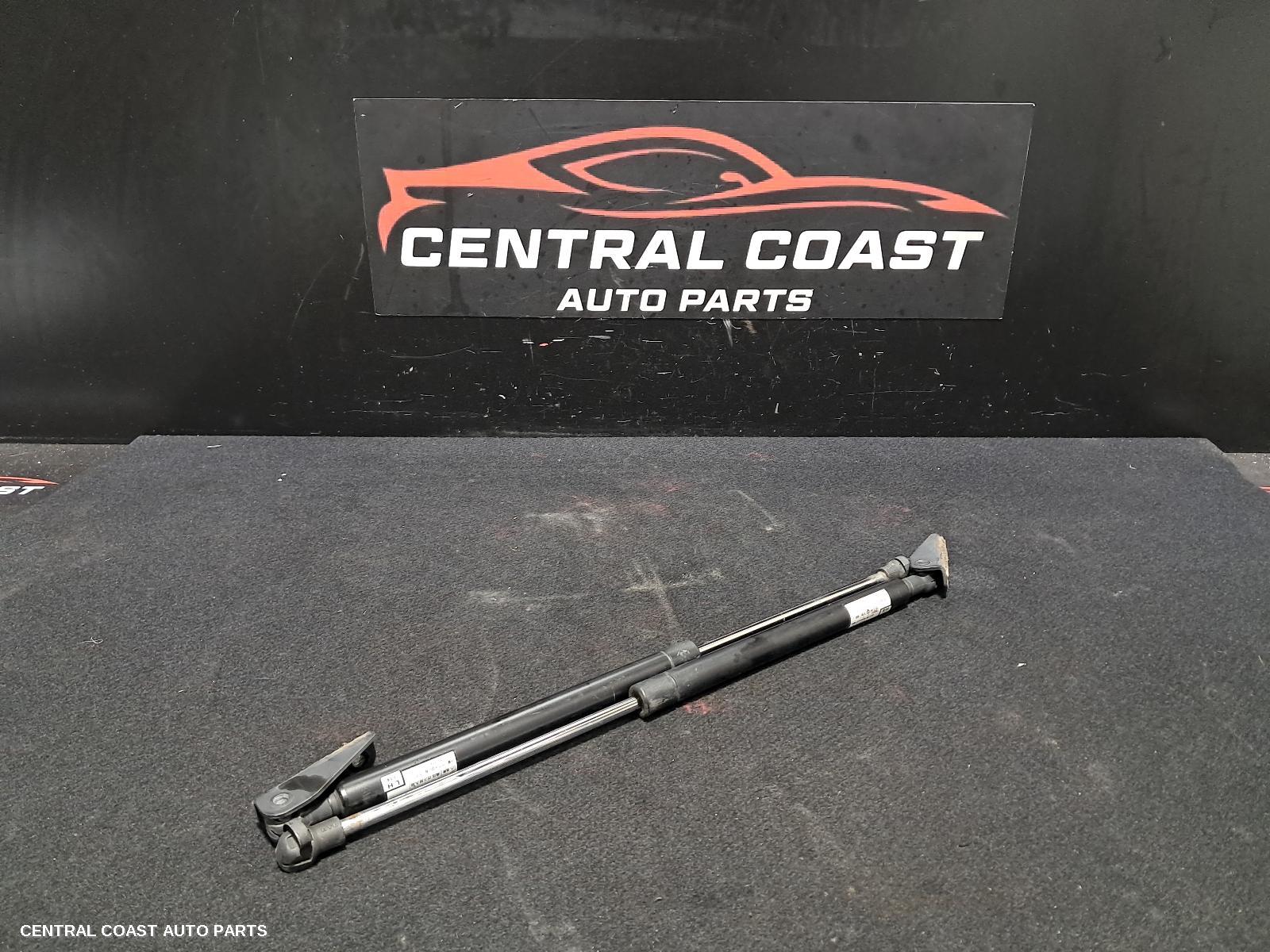 Hatch Strut