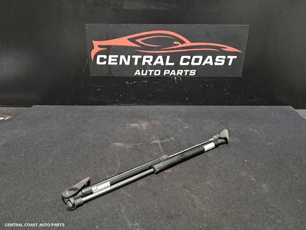 Hatch Strut