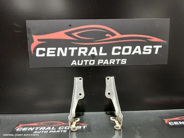 Bonnet Hinge/Strut